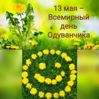 День Одуванчика День Одуванчика.